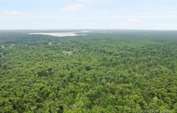 9210 S STAR LAKE DRIVE, BALDWIN, MI 49304