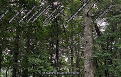 Chestnut Hill Dr, Franklin, NC 28734
