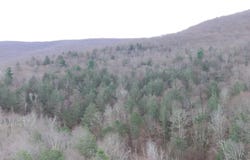 148 Acres Mount Eden Estates Road, Lexington, NY 12452