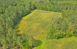 003 Sam Blackwell Road, Oxford, NC 27565