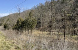1028 East Pumpkin Valley Road, Eidson, TN 37731