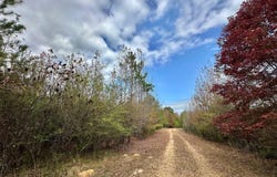 7 County Road 3122, McCool, MS 39108