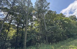 0 Mill Creek Rd, Warrior, AL 35180