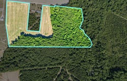 Sandy Ridge Rd., Galivants Ferry, SC 29544