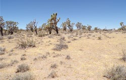 327-05-338 N Lost Mine, Dolan Springs, AZ 86441