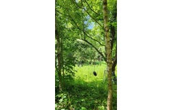 506 Chigger Town Loop, Palmer, TN 37365