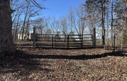 000 Mt Island Road, Corinth, KY 41010