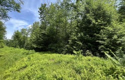 OFF TUSCAN RIDGE RD, DAVIS, WV 26260