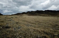BLM 1578 Road, Montello, NV 89823