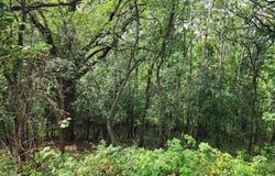 Lot 10/11 N Hillside, Edgerton, WI 53534