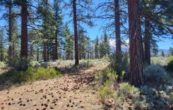 11 Acres A-12, Montague, CA 96064