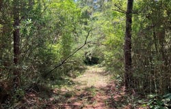 Ms-48 lot: 1, Sandy Hook, MS 39478