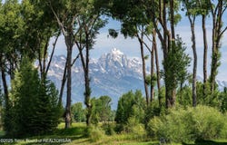 5862 N CONEFLOWER Drive, Jackson, WY 83001