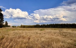 6311 W Herman Rd, Deer Park, WA 99006