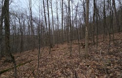 305 Clark Rd Rear, Sanford, NY 13754