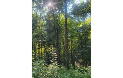 5395 Eastport Dock Rd, MONROE, TN 38573