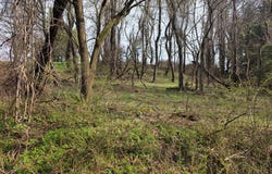 Birch Lane, Wheeling, WV 26003