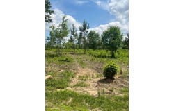 RIPLEY Rd, Carbon Hill, AL 35549