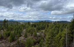 352X GREENE RD, VALLEY, WA 99181