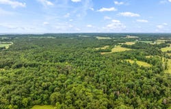 49.50 acres County Road 605, Section, AL 35771