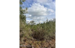 W Wortham Road, Saucier, MS 39574