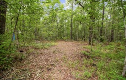 4848 Woodville Road, Awendaw, SC 29429