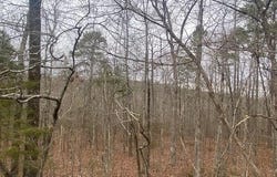 Lot 77 Mustang Drive, Clinton, AR 72031