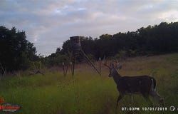 1343 County Rd188, Cross Plains, TX 76443