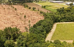 0 Sunflower Rd LOT 7, St Matthews, SC 29135
