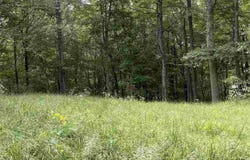 Helens Run Road, Worthington, WV 26591