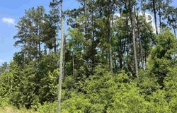 Grand Quiviera Circle, Alford, FL 32420