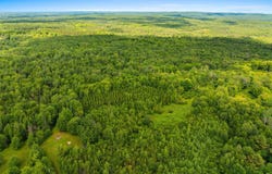 Cty J Road, Irma, WI 54442
