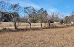 40 Hillview Road, St. Matthews, SC 29135