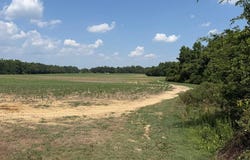 Sam Powell Dairy Road, Roanoke Rapids, NC 27870
