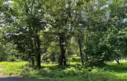 0 LISA DRIVE, HARRISBURG, PA 17111