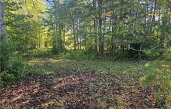 Dodgetown Road, Walnut Cove, NC 27052