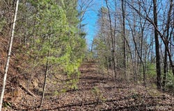 Wispy Willow Drive unit: 24T, Waynesville, NC 28785