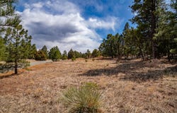5 Colibri Court, Pecos, NM 87552