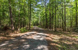1747 Dalrymple Road, Anderson, SC 29621