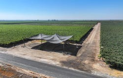 Road 88, Dinuba, CA 93618