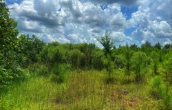 Attala Road 5001, Kosciusko, MS 39090