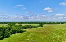 Tbd Morehead Road (+/-113.6 acres), Bremond, TX 76629