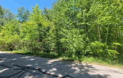 VL Maple Street, Gladwin, MI 48624