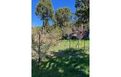1724 Warner Mountain Rd, Alturas, CA 96101