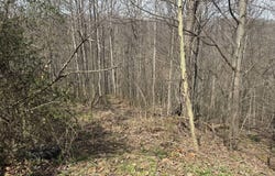 25 Osborne Ln, Seth, WV 25181