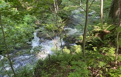 0 County Route 8, Gallatin, NY 12567