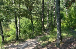 255 Hodges Bay Drive, Aiken, SC 29803