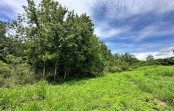 1401 N FULLERS CROSS ROAD, WINTER GARDEN, FL 34787