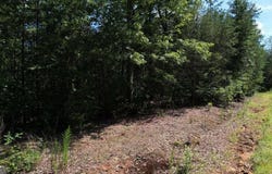 0 Flagpole, Ellijay, GA 30540