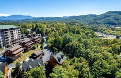 415 Big Bear Way, Pigeon Forge, TN 37863